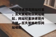 如何快速提高网站权重，五大策略助你网站崛起，网站权重快速提升攻略，五大策略助你网站崛起