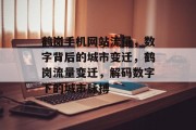 鹤岗手机网站流量，数字背后的城市变迁，鹤岗流量变迁，解码数字下的城市脉搏