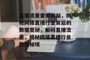 直播流量查看网站，揭秘网络直播行业背后的数据奥秘，解码直播流量，揭秘网络直播行业数据秘境