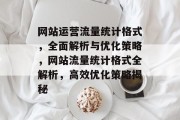 网站运营流量统计格式，全面解析与优化策略，网站流量统计格式全解析，高效优化策略揭秘