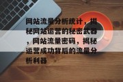 网站流量分析统计，揭秘网站运营的秘密武器，网站流量密码，揭秘运营成功背后的流量分析利器