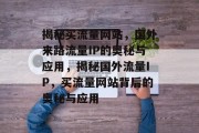 揭秘买流量网站，国外来路流量IP的奥秘与应用，揭秘国外流量IP，买流量网站背后的奥秘与应用