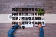 网站主题细分策略，如何精准引流，提升网站流量，精准引流秘籍，网站主题细分策略提升流量攻略