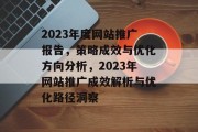2023年度网站推广报告，策略成效与优化方向分析，2023年网站推广成效解析与优化路径洞察