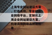 上海专业网站建设方案，打造高效、专业的企业网络平台，定制化上海企业网站建设方案，构建高效网络品牌新形象