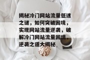 揭秘冷门网站流量低迷之谜，如何突破困境，实现网站流量逆袭，破解冷门网站流量困境，逆袭之道大揭秘
