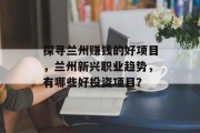 探寻兰州赚钱的好项目,兰州新兴职业趋势,有哪些好投资项目? 探寻兰州赚钱的好项目,兰州新兴职业趋势,有哪些好投资项目?