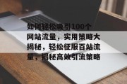 如何轻松吸引100个网站流量，实用策略大揭秘，轻松征服百站流量，揭秘高效引流策略