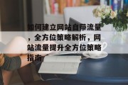 如何建立网站自带流量，全方位策略解析，网站流量提升全方位策略指南