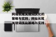网站长尾关键词优化的策略与实践，网站长尾关键词优化策略与实践