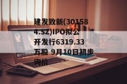 建发致新(301584.SZ)IPO拟公开发行6319.33万股 9月10日初步询价