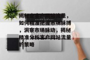 揭秘查客户网站流量，如何精准把握市场脉搏，洞察市场脉动，揭秘精准分析客户网站流量的策略