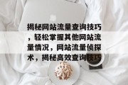 揭秘网站流量查询技巧，轻松掌握其他网站流量情况，网站流量侦探术，揭秘高效查询技巧