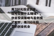 用700元投资创业,你可以做什么赚钱?,创业投资策略与盈利模式解析,用700元投资的创业机会 用700元投资创业,你可以做什么赚钱?,创业投资策略与盈利模式解析,用700元投资的创业机会
