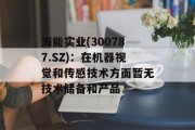 海能实业(300787.SZ)：在机器视觉和传感技术方面暂无技术储备和产品