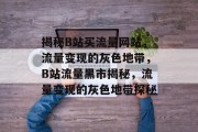 揭秘B站买流量网站，流量变现的灰色地带，B站流量黑市揭秘，流量变现的灰色地带探秘