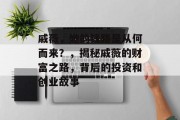 戚薇,她的钱路是从何而来?,揭秘戚薇的财富之路,背后的投资和创业故事 戚薇,她的钱路是从何而来?,揭秘戚薇的财富之路,背后的投资和创业故事