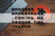 新网站流量爆发，揭秘如何快速提升网站流量，打造热门平台，网站流量激增秘籍，打造热门平台全攻略