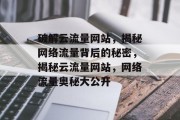 破解云流量网站，揭秘网络流量背后的秘密，揭秘云流量网站，网络流量奥秘大公开