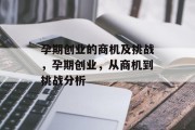 孕期创业的商机及挑战,孕期创业,从商机到挑战分析