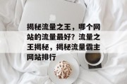 揭秘流量之王，哪个网站的流量最好？流量之王揭秘，揭秘流量霸主网站排行