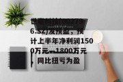 世嘉科技(002796.SZ)发预盈，预计上半年净利润1500万元—1800万元，同比扭亏为盈