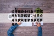 竹杆在各个行业中的应用与前景展望,竹竿应用现状及未来发展趋势分析 竹杆在各个行业中的应用与前景展望,竹竿应用现状及未来发展趋势分析