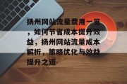 扬州网站流量费用一览，如何节省成本提升效益，扬州网站流量成本解析，策略优化与效益提升之道