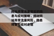 网站异常流量背后的隐患与应对策略，揭秘网站异常流量风险，隐患排查与应对之道