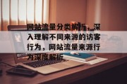 网站流量分类解析，深入理解不同来源的访客行为，网站流量来源行为深度解析