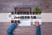 深入解析网站流量统计，Java技术助力数据洞察
