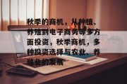 秋季的商机，从种植、养殖到电子商务等多方面投资，秋季商机，多种投资选择与农业、养殖业的发展