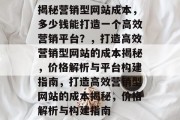 揭秘营销型网站成本，多少钱能打造一个高效营销平台？，打造高效营销型网站的成本揭秘，价格解析与平台构建指南，打造高效营销型网站的成本揭秘，价格解析与构建指南