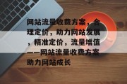 网站流量收费方案，合理定价，助力网站发展，精准定价，流量增值——网站流量收费方案助力网站成长