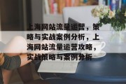 上海网站流量运营，策略与实战案例分析，上海网站流量运营攻略，实战策略与案例分析