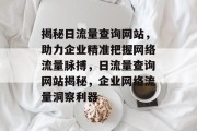 揭秘日流量查询网站，助力企业精准把握网络流量脉搏，日流量查询网站揭秘，企业网络流量洞察利器