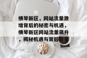 横琴新区，网站流量激增背后的秘密与机遇，横琴新区网站流量飙升，揭秘机遇与背后故事