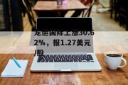 龙运国际上涨30.62%，报1.27美元/股