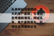 头条网站流量揭秘，庞大的用户基数，引领信息传播新潮流，揭秘头条，用户基数庞大，引领信息传播新纪元