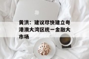 黄洪：建议尽快建立粤港澳大湾区统一金融大市场