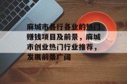麻城市各行各业的热门赚钱项目及前景,麻城市创业热门行业推荐,发展前景广阔 麻城市各行各业的热门赚钱项目及前景,麻城市创业热门行业推荐,发展前景广阔
