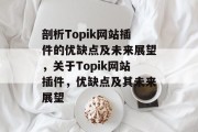 剖析Topik网站插件的优缺点及未来展望，关于Topik网站插件，优缺点及其未来展望