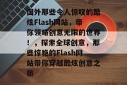 国外那些令人惊叹的酷炫Flash网站，带你领略创意无限的世界！，探索全球创意，那些惊艳的Flash网站带你穿越酷炫创意之旅