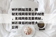 WiFi网站流量，揭秘无线网络背后的秘密，无线网络流量揭秘，WiFi背后的秘密大公开