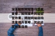 深入解析网站日均流量查看，如何提升网站运营效果，揭秘网站日均流量提升策略，优化运营效果指南