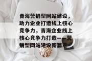 青海营销型网站建设，助力企业打造线上核心竞争力，青海企业线上核心竞争力打造——营销型网站建设新篇章