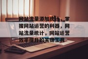 网站流量添加统计，掌握网站运营的利器，网站流量统计，网站运营效率提升的关键工具