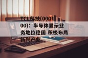 TCL科技(000100)：半导体显示业务地位稳固 积极布局新兴产业