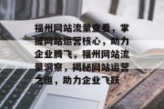 福州网站流量查看，掌握网站运营核心，助力企业腾飞，福州网站流量洞察，揭秘网站运营之道，助力企业飞跃