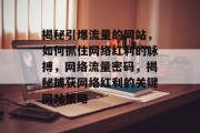 揭秘引爆流量的网站，如何抓住网络红利的脉搏，网络流量密码，揭秘捕获网络红利的关键网站策略